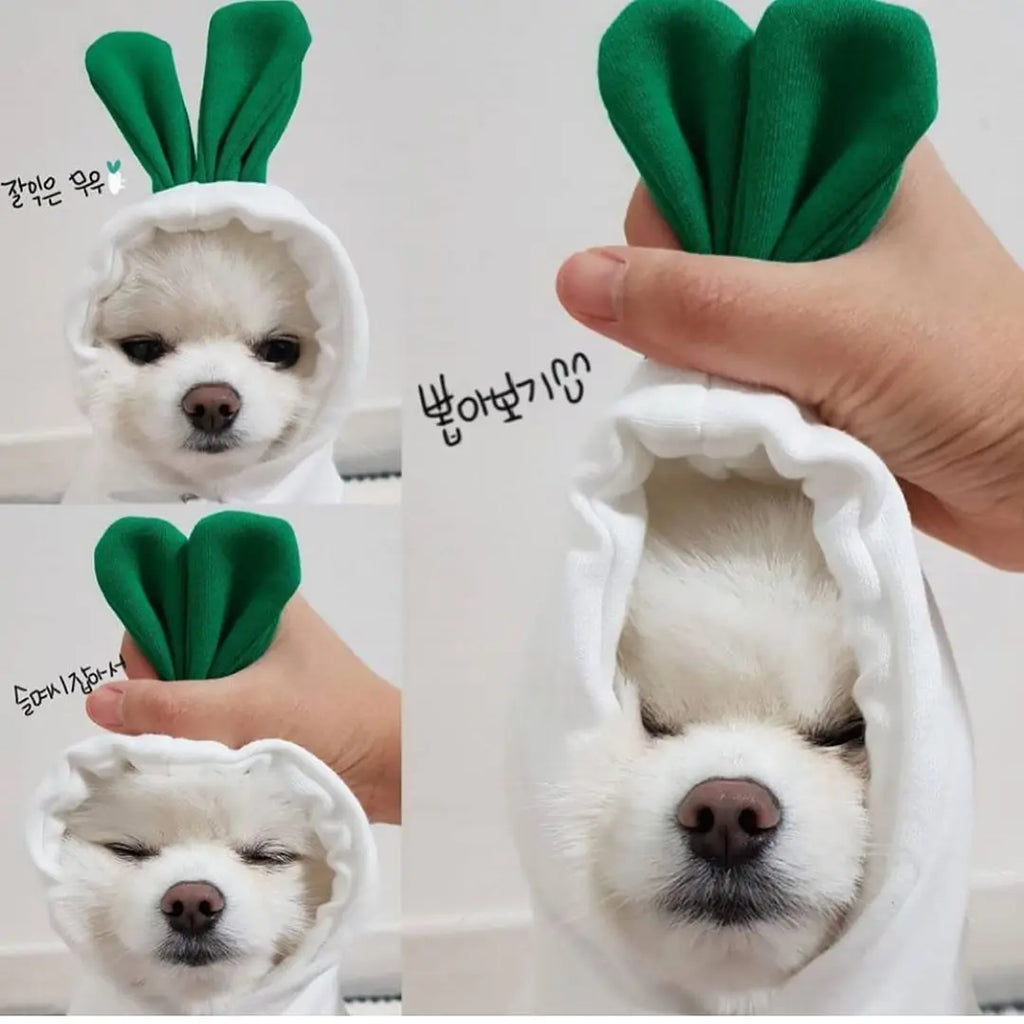 Cute Fruit Dog Clothes For Small Dogs Hoodies Winter Warm Fleece Pet Clothing Puppy Cat Costume Coat For French Chihuahua Outfit cjdropshipping