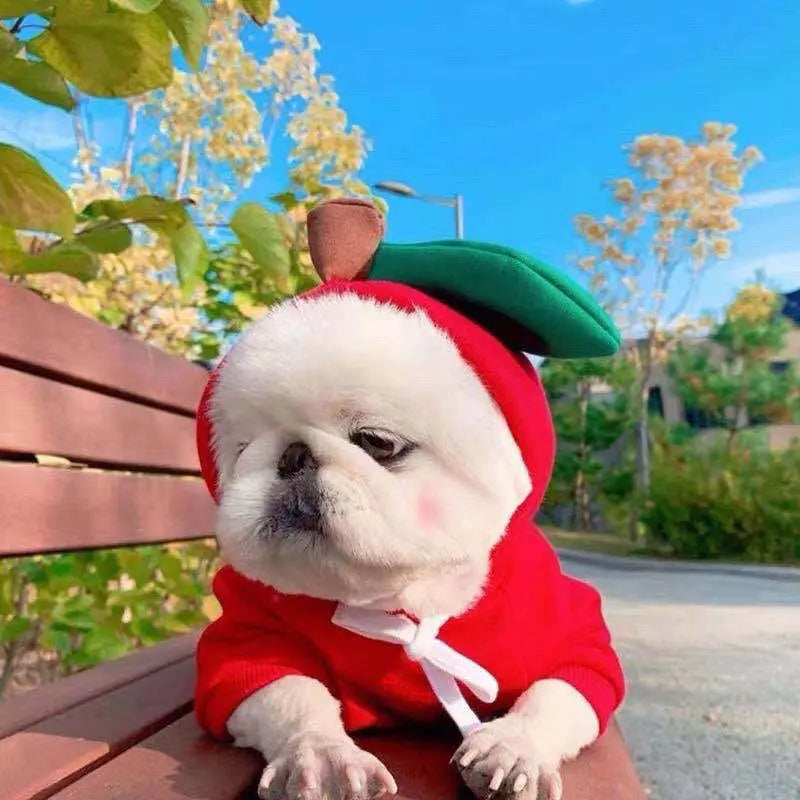 Cute Fruit Dog Clothes For Small Dogs Hoodies Winter Warm Fleece Pet Clothing Puppy Cat Costume Coat For French Chihuahua Outfit cjdropshipping