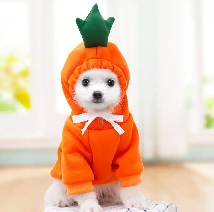 Cute Fruit Dog Clothes For Small Dogs Hoodies Winter Warm Fleece Pet Clothing Puppy Cat Costume Coat For French Chihuahua Outfit cjdropshipping