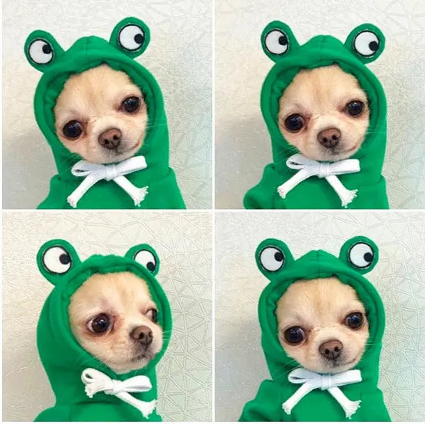Cute Fruit Dog Clothes For Small Dogs Hoodies Winter Warm Fleece Pet Clothing Puppy Cat Costume Coat For French Chihuahua Outfit cjdropshipping