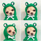 Cute Fruit Dog Clothes For Small Dogs Hoodies Winter Warm Fleece Pet Clothing Puppy Cat Costume Coat For French Chihuahua Outfit cjdropshipping