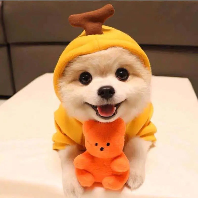 Cute Fruit Dog Clothes For Small Dogs Hoodies Winter Warm Fleece Pet Clothing Puppy Cat Costume Coat For French Chihuahua Outfit cjdropshipping