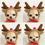 Cute Fruit Dog Clothes For Small Dogs Hoodies Winter Warm Fleece Pet Clothing Puppy Cat Costume Coat For French Chihuahua Outfit cjdropshipping