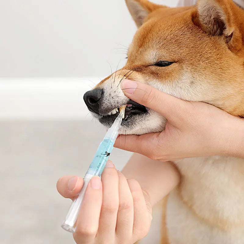 Pet Teeth Repairing Kit For Dog Cat Teeth Cleaning Pen Kit cjdropshipping