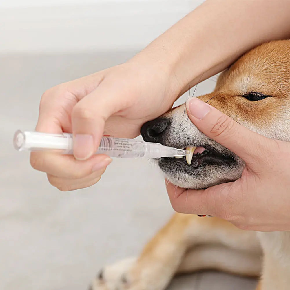 Pet Teeth Repairing Kit For Dog Cat Teeth Cleaning Pen Kit cjdropshipping