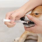 Pet Teeth Repairing Kit For Dog Cat Teeth Cleaning Pen Kit cjdropshipping