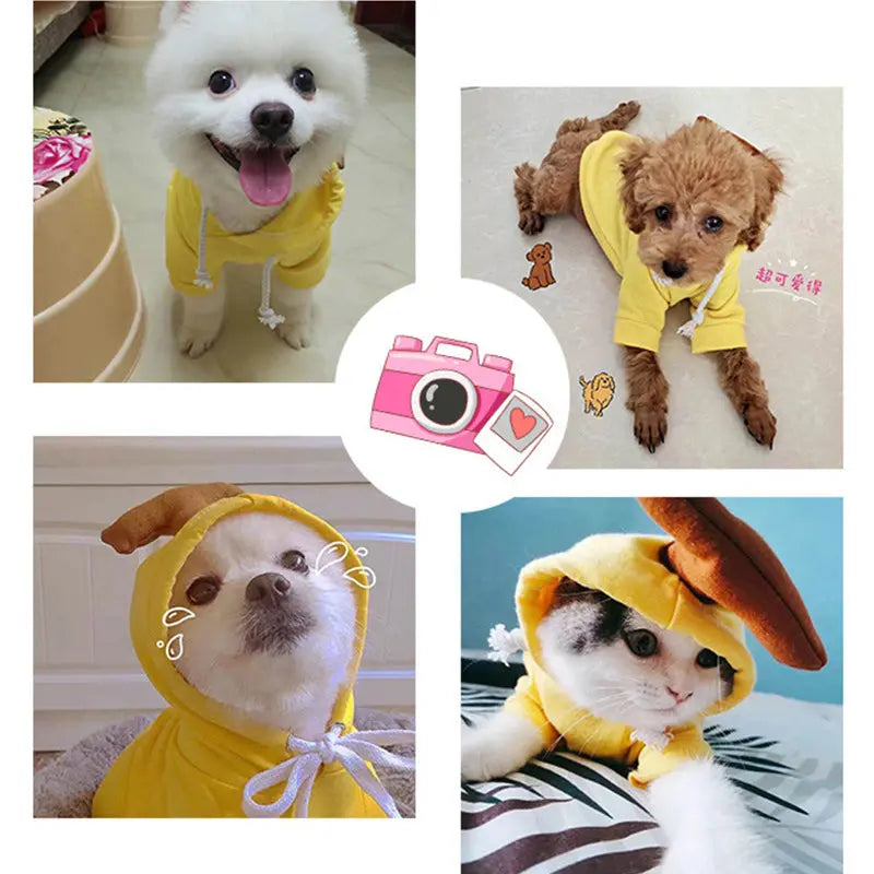 Cute Fruit Dog Clothes For Small Dogs Hoodies Winter Warm Fleece Pet Clothing Puppy Cat Costume Coat For French Chihuahua Outfit cjdropshipping