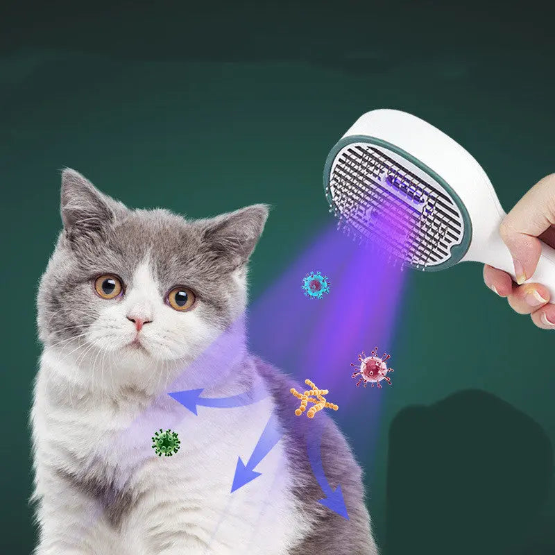 Hair Brush For Cat Sterilization Cleaner Dog Pet Supplies cjdropshipping